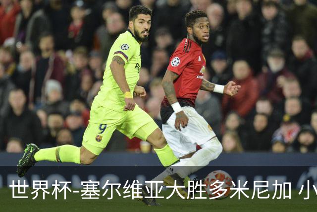 世界杯-塞尔维亚大胜多米尼加 小组第二进八强